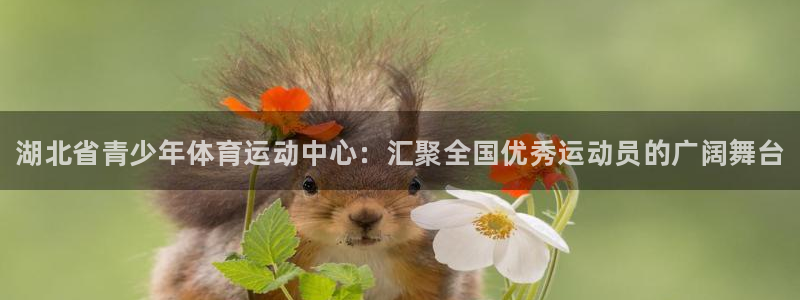 凯发官方正版app娱乐下载:湖北省青少年体育运动中心:汇聚全