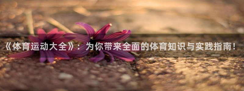 凯发官网下载招商电话地址查询:《体育运动大全》:为你带来全面